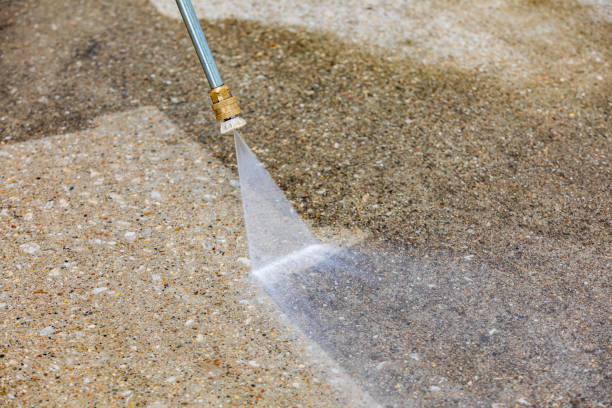 Best Pre-Holiday Cleaning  in Wellington, UT